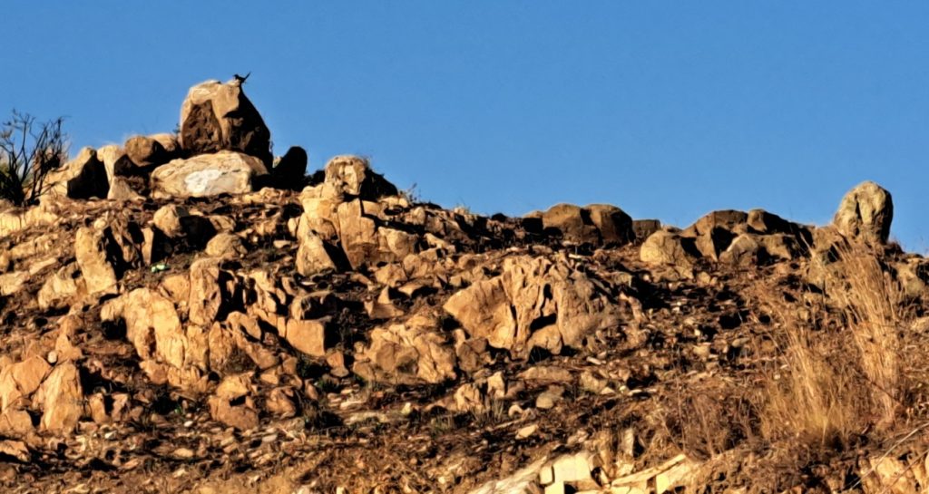 Riera Alta, Santa Coloma de Gramenet
